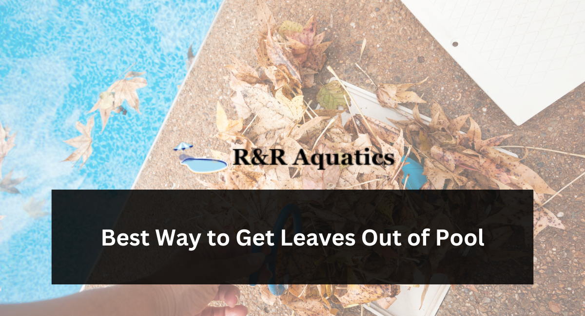 Best Ways to Get Leaves Out of the Pool